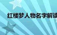 红楼梦人物名字解读（红楼梦人物名字）