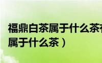 福鼎白茶属于什么茶有何功效作用（福鼎白茶属于什么茶）