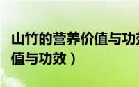 山竹的营养价值与功效与作用（山竹的营养价值与功效）