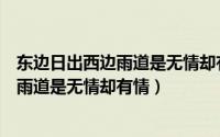东边日出西边雨道是无情却有情出自哪首诗（东边日出西边雨道是无情却有情）