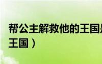 帮公主解救他的王国是什么（帮公主解救他的王国）