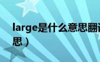 large是什么意思翻译中文（large是什么意思）
