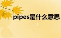 pipes是什么意思（pip是什么意思）