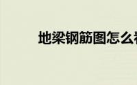 地梁钢筋图怎么看（地梁钢筋图）