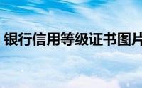 银行信用等级证书图片（银行信用等级证书）