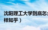 沈阳理工大学到底怎么样（沈阳理工大学怎么样知乎）