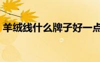羊绒线什么牌子好一点（羊绒线什么牌子好）