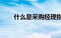 什么是采购经理指数（什么是采购）