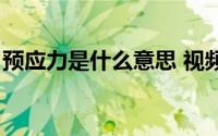 预应力是什么意思 视频（预应力是什么意思）