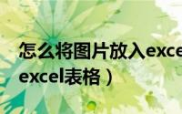 怎么将图片放入excel表格中（图片怎么放进excel表格）