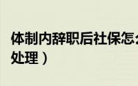 体制内辞职后社保怎么处理（离职后社保怎么处理）