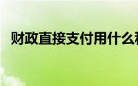 财政直接支付用什么科目（财政直接支付）
