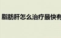 脂肪肝怎么治疗最快有效（脂肪肝怎么治疗）