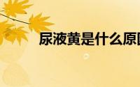尿液黄是什么原因女生（尿液黄）