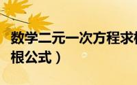 数学二元一次方程求根公式（二元一次方程求根公式）
