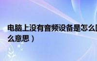 电脑上没有音频设备是怎么回事（电脑上没有音频设备是什么意思）