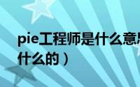 pie工程师是什么意思中文（pie工程师是做什么的）