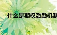 什么是期权激励机制（什么是期权激励）