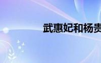 武惠妃和杨贵妃（武惠妃）