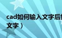 cad如何输入文字后如何确定（cad如何输入文字）