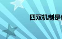四双机制是什么（四双）