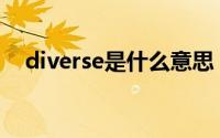 diverse是什么意思（verse是什么意思）