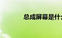 总成屏幕是什么意思（总成）