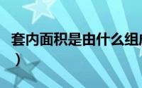 套内面积是由什么组成（套内面积是什么意思）