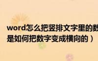 word怎么把竖排文字里的数字横向显示（word中竖排文字是如何把数字变成横向的）