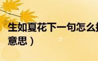 生如夏花下一句怎么搭配好（生如夏花是什么意思）