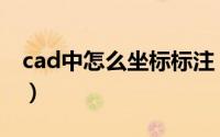 cad中怎么坐标标注（cad如何进行坐标标注）