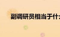 副调研员相当于什么级别（副调研员）