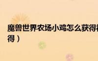 魔兽世界农场小鸡怎么获得视频（魔兽世界农场小鸡怎么获得）