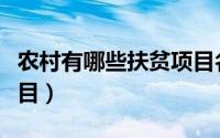农村有哪些扶贫项目名称（农村有哪些扶贫项目）