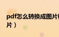 pdf怎么转换成图片格式（pdf怎么转换成图片）