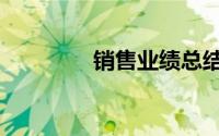 销售业绩总结（销售业绩）
