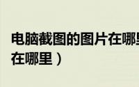 电脑截图的图片在哪里删掉（电脑截图的图片在哪里）