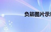 负筋图片示意图（负筋）