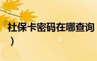 社保卡密码在哪查询（社保卡查询密码是什么）