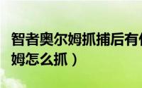 智者奥尔姆抓捕后有什么特殊技能（智者奥尔姆怎么抓）