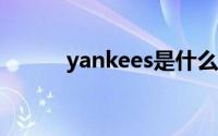 yankees是什么意思（yankee）
