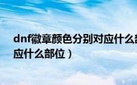 dnf徽章颜色分别对应什么部位属性（dnf徽章颜色分别对应什么部位）