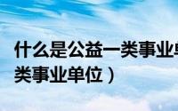 什么是公益一类事业单位工作（什么是公益一类事业单位）