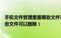 手机文件管理里面哪些文件可以删除（手机文件管理里的哪些文件可以删除）