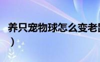 养只宠物球怎么变老鼠（养只宠物球怎么变老）