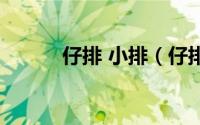 仔排 小排（仔排和小排的区别）