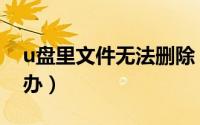 u盘里文件无法删除（u盘文件无法删除怎么办）
