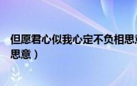 但愿君心似我心定不负相思意思（但愿君心似我心定不负相思意）