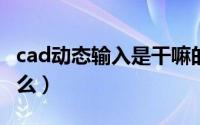 cad动态输入是干嘛的（CAD中动态输入是什么）
