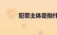 犯罪主体是指什么（犯罪主体）